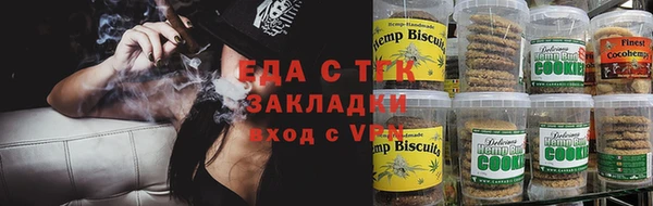 гашик Зеленокумск