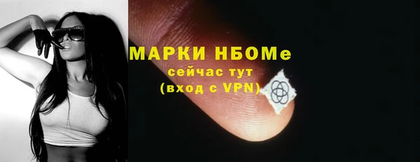 гашик Зеленокумск