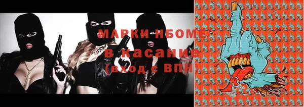 гашик Зеленокумск